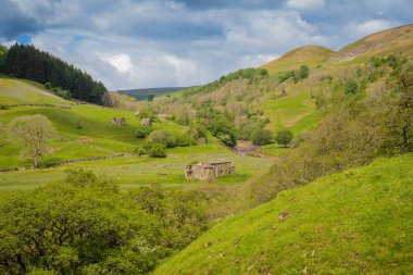 27.05.2022 Muker, Swaledale, Kuzey Yorkshire, Uk. Yorkshire Dales 'de Muker yakınlarındaki ahırlarda.