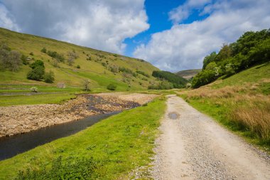 Yorkshire Dales 'de Muker yakınlarında Swale nehri.