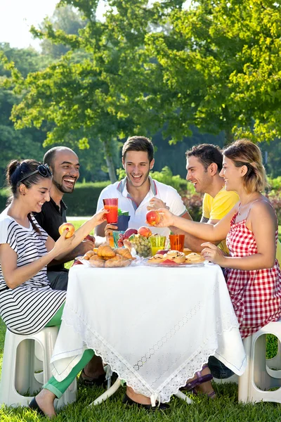 Grupo de amigos multiétnicos — Foto de Stock