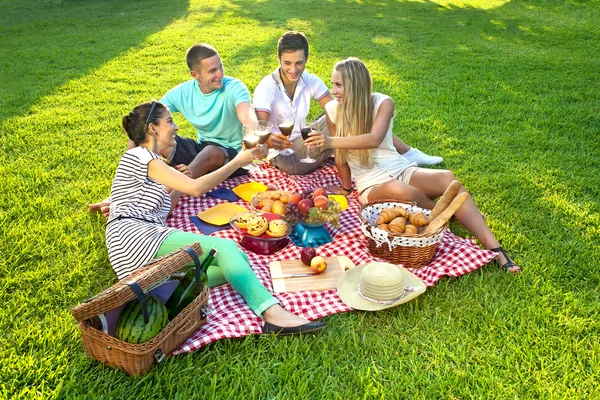 Vrienden hebben een picknick — Stockfoto