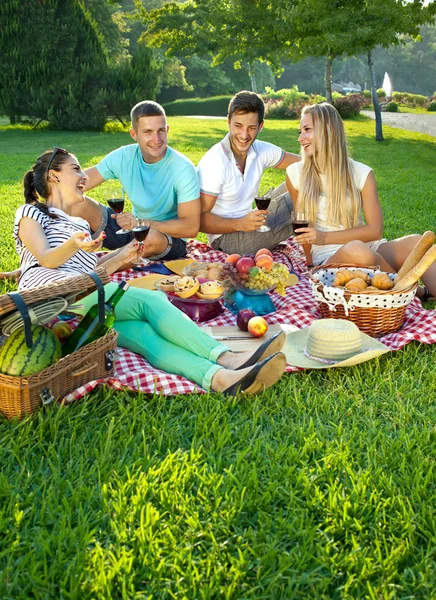 Twee paren picknicken in een park — Stockfoto