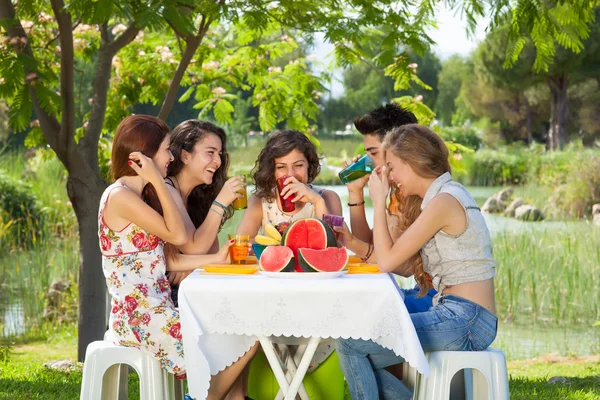 Reden und Lachen im Park. — Stockfoto