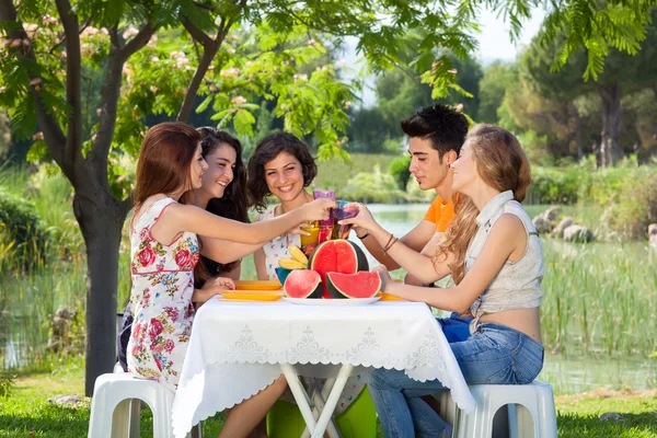 Una giornata al parco . — Foto Stock