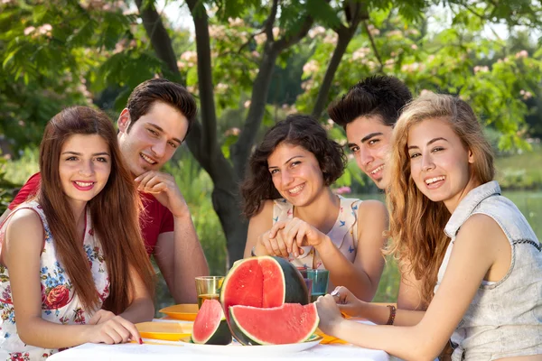 Picnic al parco . — Foto Stock