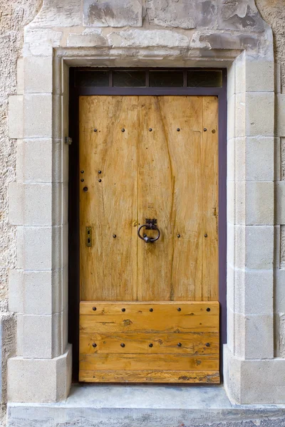 Old massive wooden door — Stock Photo, Image