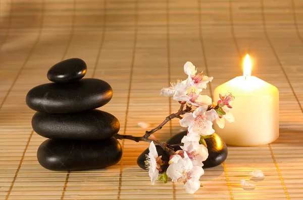Black stones, candle and flower branch. — Stock Photo, Image