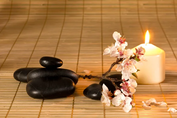 Black stones, candle and flower branch. — Stock Photo, Image