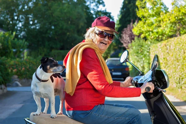 Roześmiany senior kobieta dosiada skutera z psem — Zdjęcie stockowe
