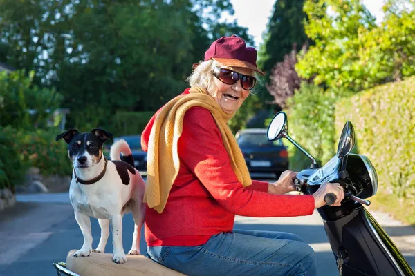 Onu köpek ile bir scooter sürme kadın kıdemli gülüyor — Stok fotoğraf