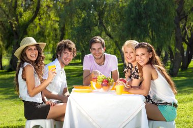 Parkta piknik arkadaşlar