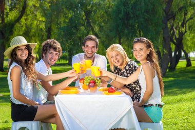 Parkta piknik arkadaşlar