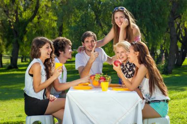 arkadaşlarım parkta piknik keyfini çıkarın.