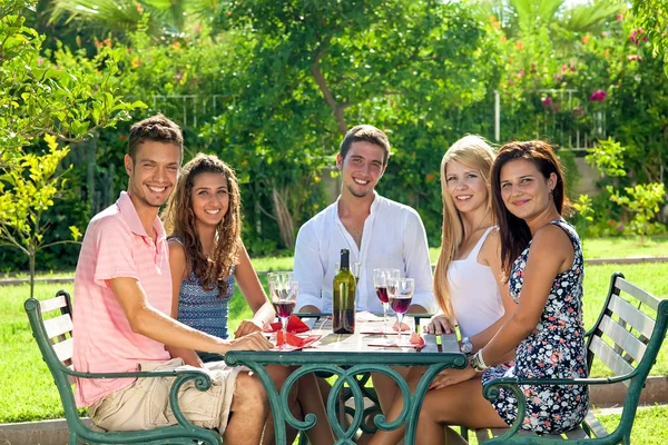 Amigos degustando vino en el parque — Foto de Stock