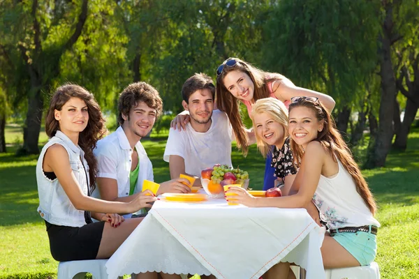 Unga människor njuta av en picknick i parken — Stockfoto