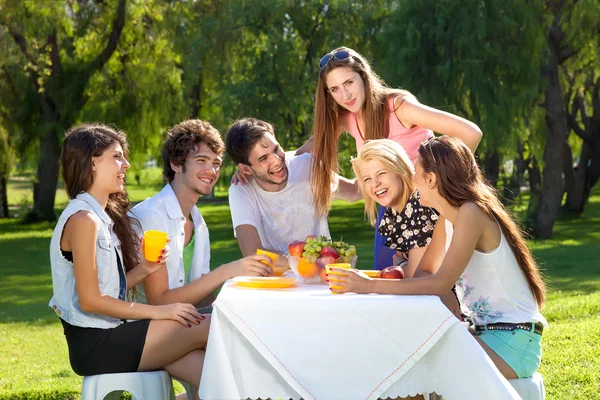 Przyjaciele się na piknik w parku — Zdjęcie stockowe