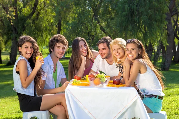 Young people having picnic at the park — Stock Photo, Image