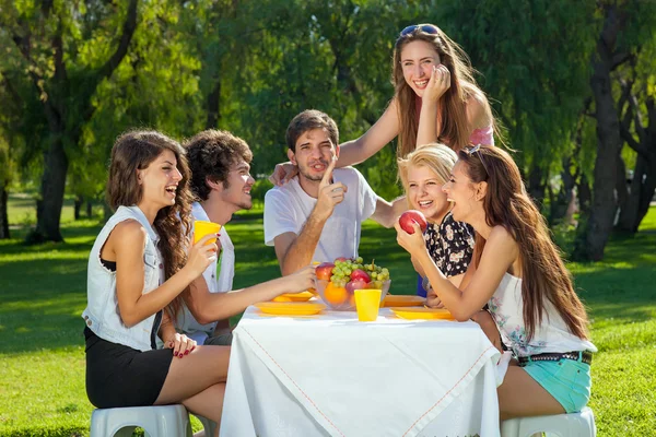 Amigos disfrutan de un picnic en el parque — Foto de Stock