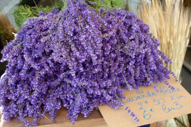 Bunches of lavender flowers clipart