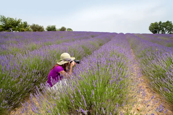 Mujer entre lavanda fotografiando — Foto de Stock