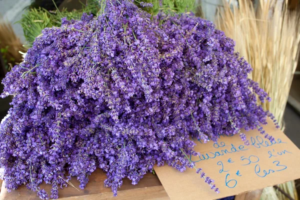 Manojos de flores de lavanda — Foto de Stock