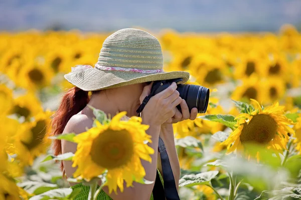 Woman taking photos of sunflowers — Stock Photo, Image