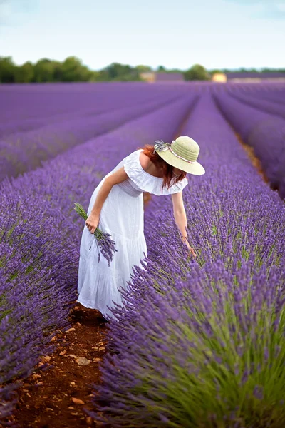 Woman in field of lavender — Stock Photo, Image