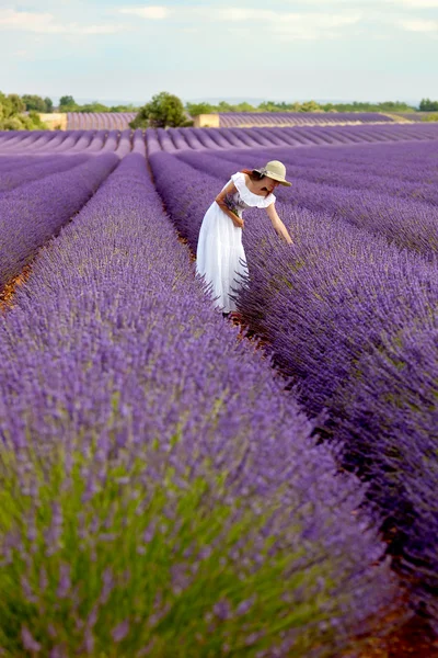 Woman in field of lavender — Stock Photo, Image