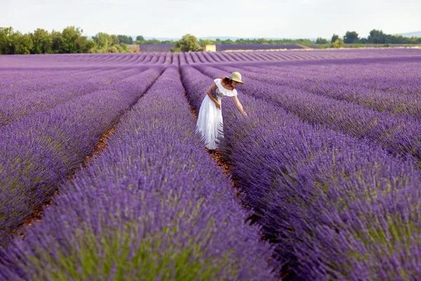 Woman in field of lavender — Stock Photo, Image