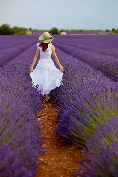 Kvinna i fältet lavendel — Stockfoto