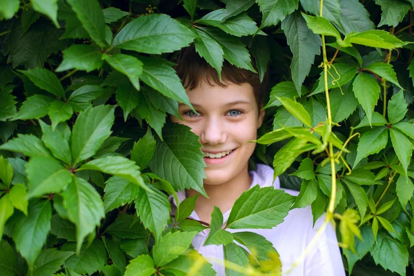 Vrolijke gelukkige jongen gluren uit achter de bladeren van bomen — Stockfoto