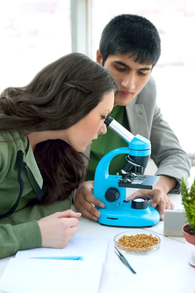 Gymnasiasten-Konzept. — Stockfoto