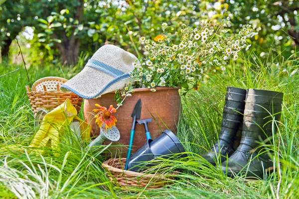 Trädgårdsarbete utrustning — Stockfoto