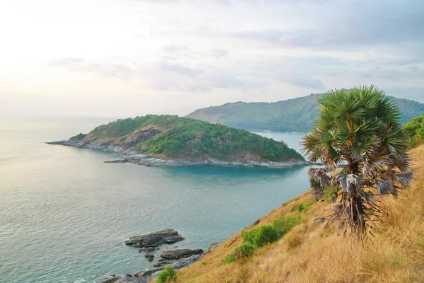 Palmera, Mirador del cabo Phromthep con cielo azul Phuket, Tailandés — Foto de Stock