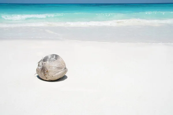 Kokos na plaży — Zdjęcie stockowe