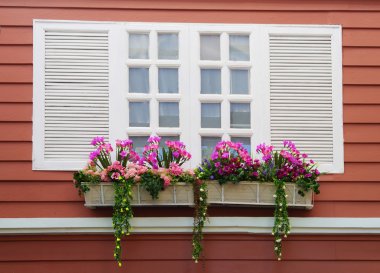 Kırmızı duvarda beyaz pencere