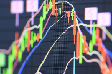 bir fil binmek fil, chiang mai, Tayland