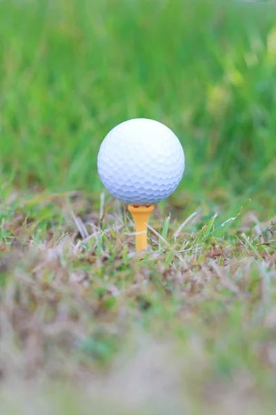 golf ball on rough