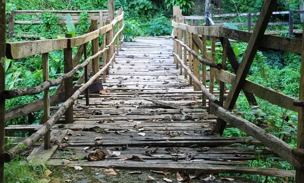 Old wood walkway in forest — Stock Photo, Image