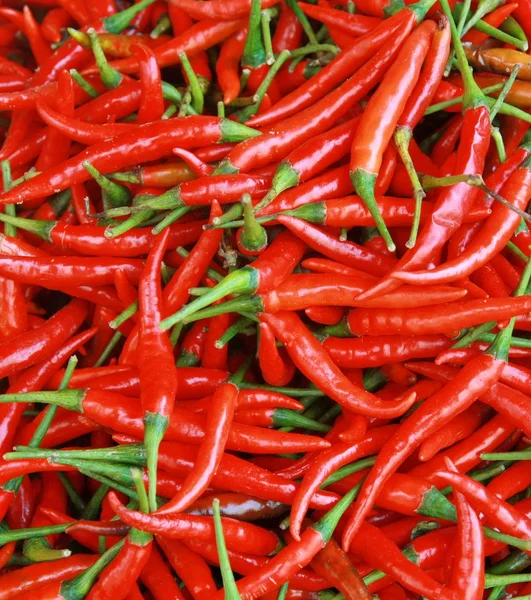 Red chili background — Stock Photo, Image