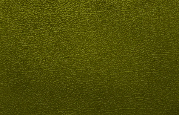 緑の革の質感 — ストック写真