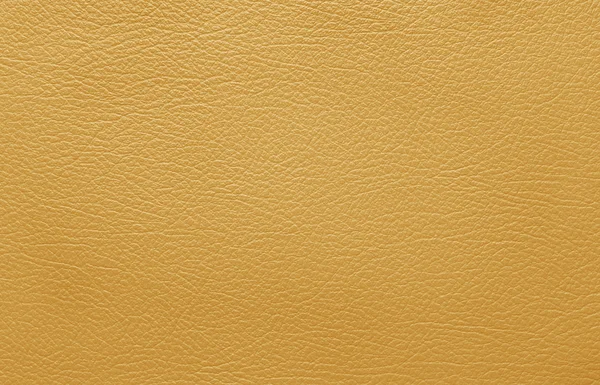 Brown leather skin — Stock Photo, Image