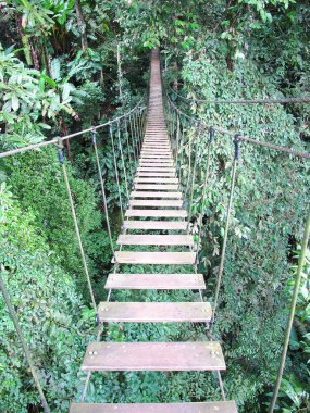 halat köprü üzerinde yüksek orman ağacı, chiang mai, Tayland