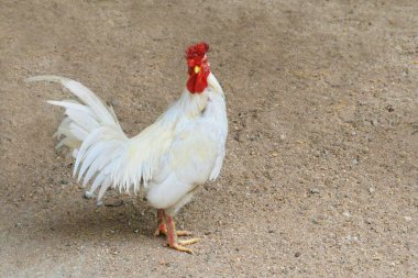 Seaton cornwall Inglaterra uk