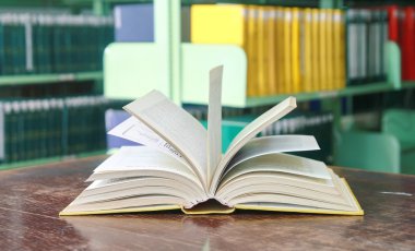 açılan tabloda bir kitap