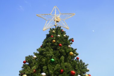Mavi gökyüzü olan Noel ağacı