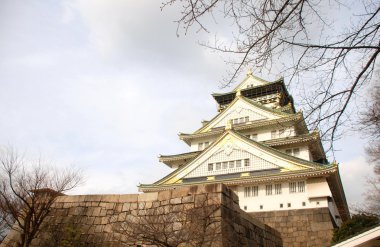Osaka palace, çatı