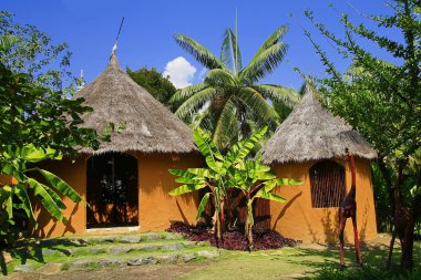 Sarı Afrika toprak evi