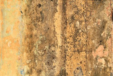 kirli sarı beton duvar