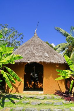 Sarı Afrika toprak evi