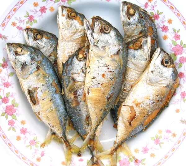 Mackerel fried — Stock Photo, Image